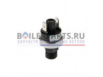 Купить Переключатель гидравлический для котлов Thermex Orso/Grizzly v39 900998 - цены